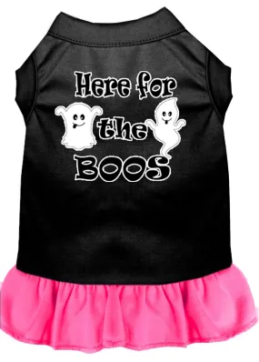 Here For The Boos Screen Print Dog Dress Black With Bright Pink Xxl (18)