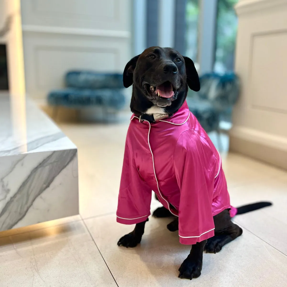 Margo Dog Pajamas