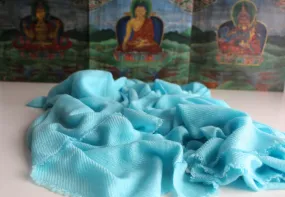 Pure Pashmina Shawl-Light Turquoise